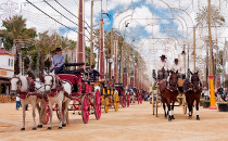 Calèches dans la Feria