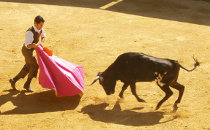 Haciendas et Tauromachie