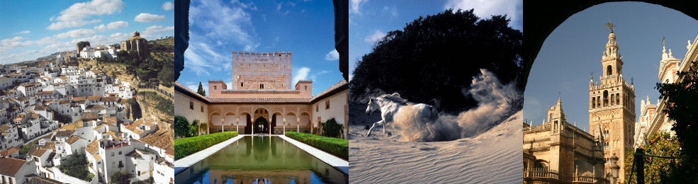 Panoramique de Vejer / Patio de Comares de l'Alhambra / Cheval dans une dune / Giralda de Séville