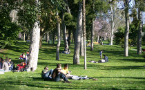 Le parc du Retiro