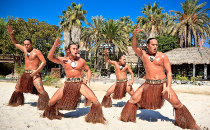 Spectacle de Polynesia