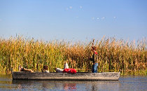 Barque dans le delta