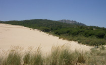 Les dunes de Valdevaqueros